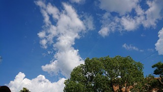 DSC_8616.JPG
